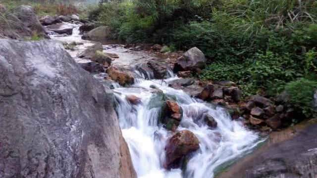 大西南的深山溪流里钓山鲶，这种极品鱼吃起来弹嘴