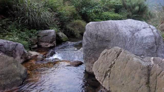 大西南的深山溪流里钓山鲶，这种极品鱼吃起来弹嘴