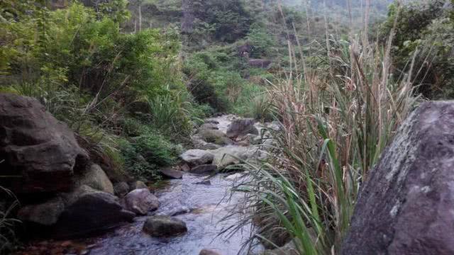 大西南的深山溪流里钓山鲶，这种极品鱼吃起来弹嘴