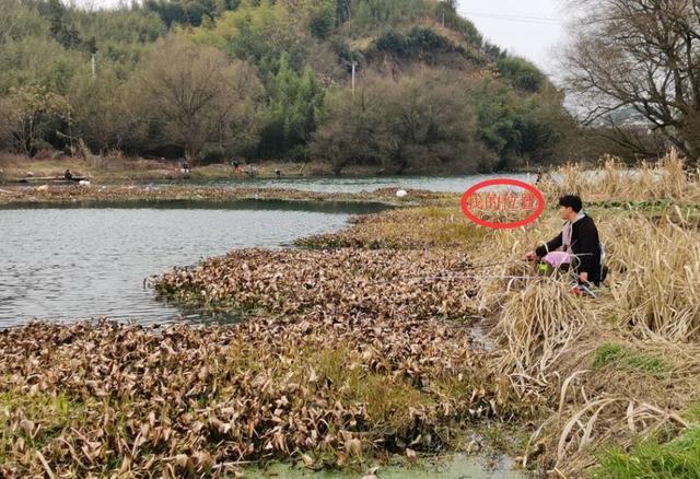 钓到大鲫鱼并非偶然，多天实战，解释野钓的正确思路