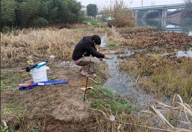 钓到大鲫鱼并非偶然，多天实战，解释野钓的正确思路