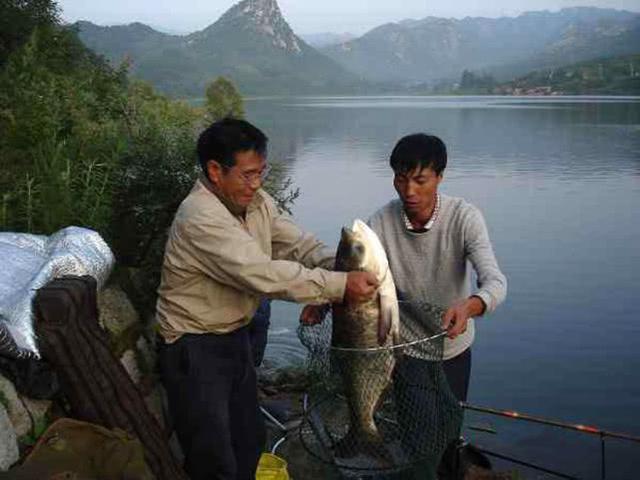 从3个方面掌握手竿钓鲢鳙的技巧，以后越钓越多