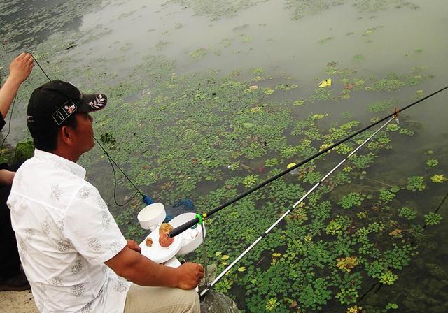 钓到草鱼其实不难，掌握这就够了