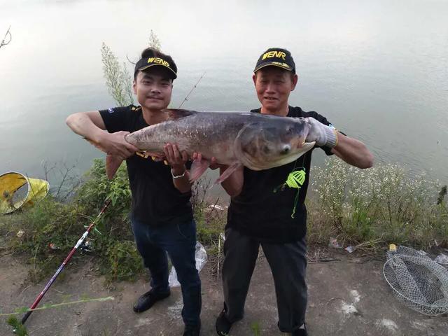 鲢鳙湖库野钓鲢鳙，需要掌握的技巧与方法分享