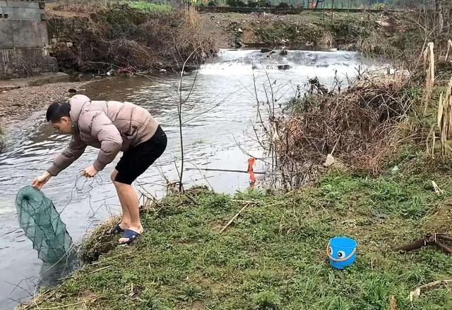 河道经常发现狡猾甲鱼露出水面，要怎么钓上岸