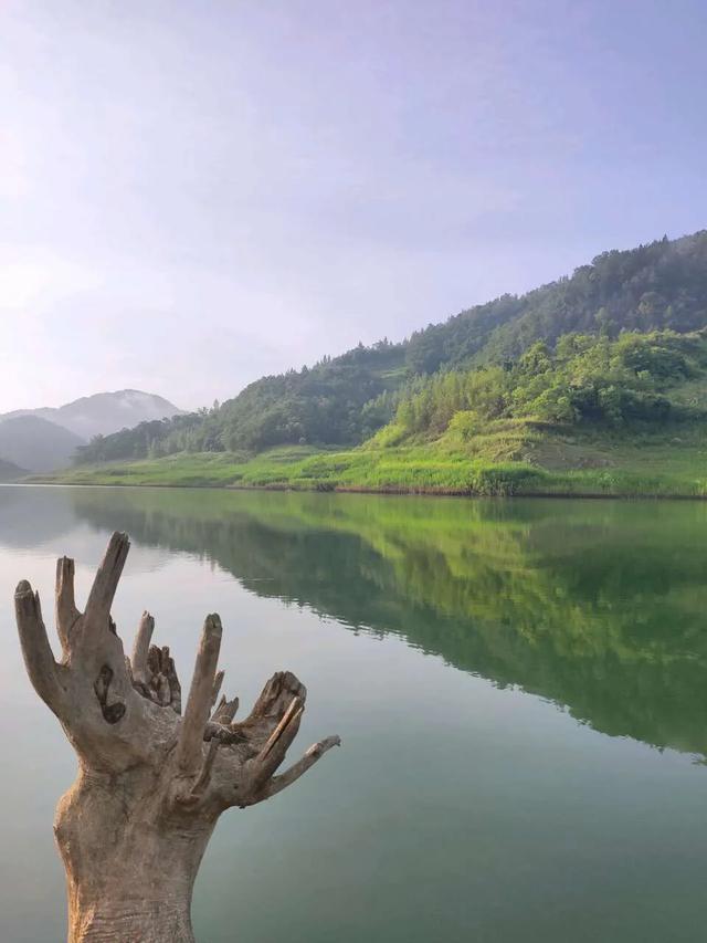 鲢鳙垂钓，钓底与钓浮根据水域季节选择的技巧