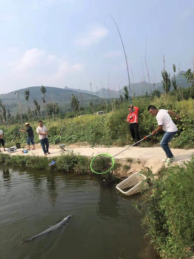 钓青鱼如何避免鱼不给口和中鱼切线等烦恼