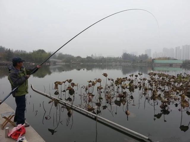 天气越冷钓鱼越要找这种地方，鲫鱼最喜欢躲在其中