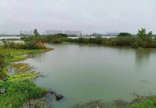 天气越冷钓鱼越要找这种地方，鲫鱼最喜欢躲在其中