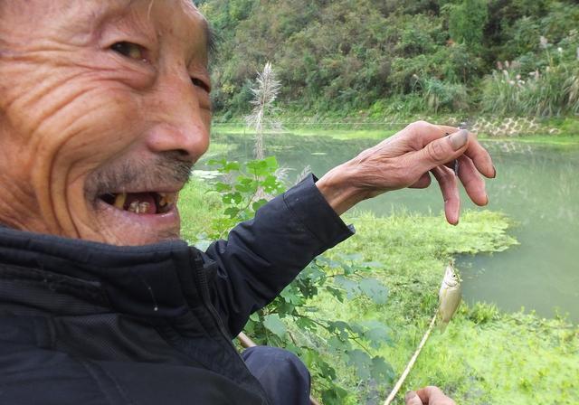 为什么冬季大板鲫很常见，夏季鲫鱼又少又小