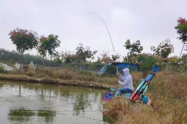 冷天垂钓大板鲫时，可供钓友选用的2种特色钓法