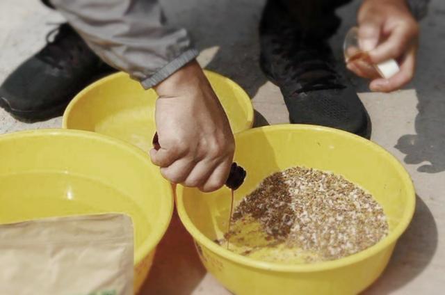 秋末10月期间，野钓鳊鱼时，3个作钓技巧请注意