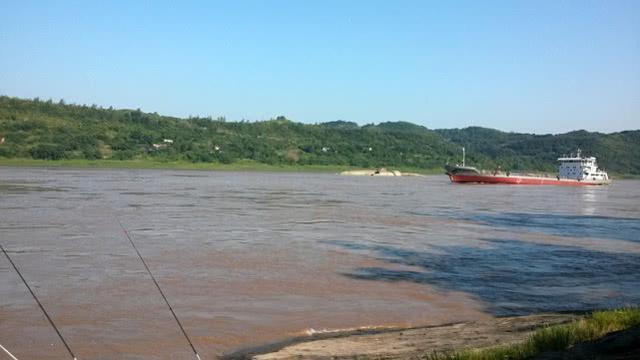 此鱼上海称鮰老鼠，四川名江团，贵州习鱼怎么钓