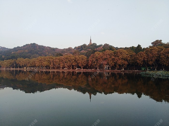 初冬钓大鲫体会，从四个方面解析，教你钓大鲫鱼