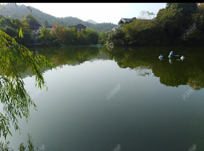 初冬钓大鲫体会，从四个方面解析，教你钓大鲫鱼