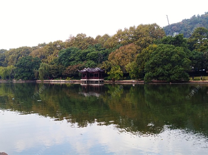 初冬钓大鲫体会，从四个方面解析，教你钓大鲫鱼