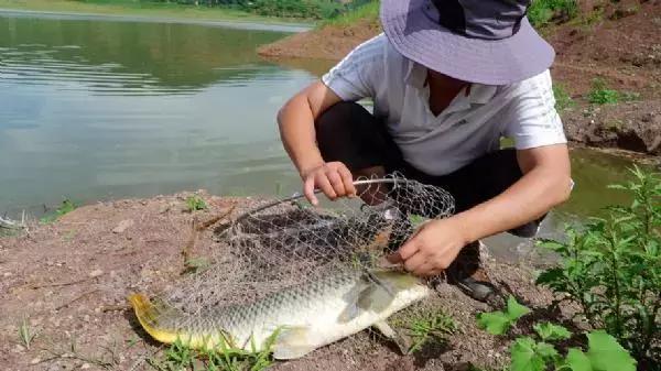 海竿钓鲤鱼，上钩后会出现什么问题，老手都得注意这个