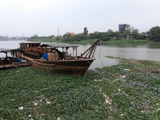 两广海南的钓鱼人，谈论钓罗非的技巧