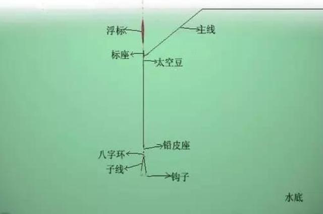 征服草鱼的好钓法，十有九中，看完别忽视