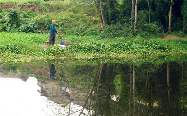 夏季钓草鱼，钓位应该选这些