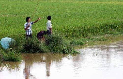 野钓黄颡鱼的钓法大全，从入门到精通