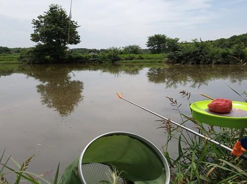 解析夏季野生鲫鱼难钓的两大原因