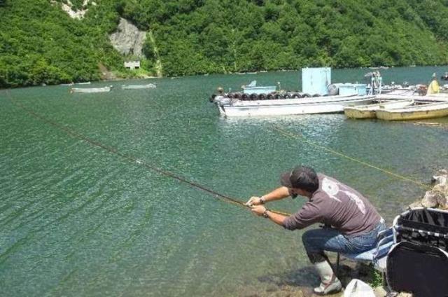 热天野钓草鱼时的钓法技巧