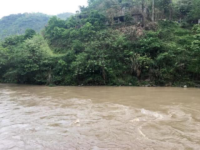 浑水钓黄颡的方法，特有效