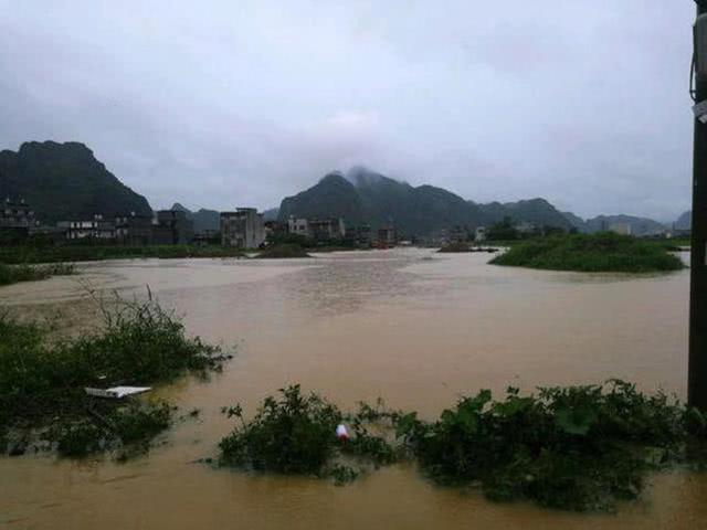 浑水钓黄颡的方法，特有效