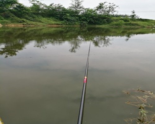 夏季野钓草鱼经验之谈