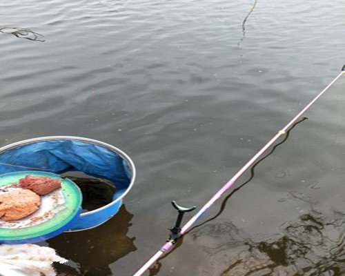 初夏野钓鲤鱼，浅谈初夏野钓鲤鱼的5招技巧