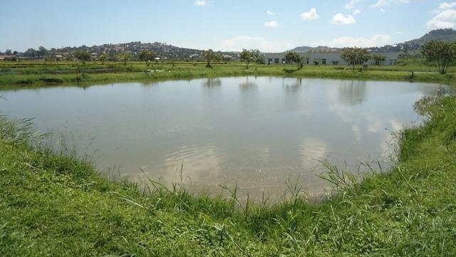 干涸两三年的池塘，抽水后三个月便鱼虾成群，里面的鱼从哪来的？