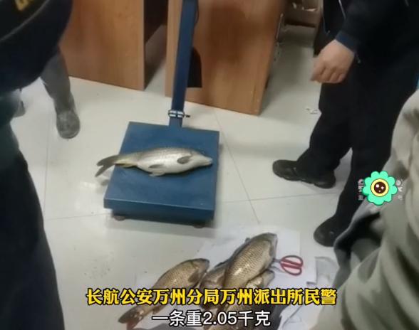 重庆2男子偷钓7条大鱼，腹中取出近45万枚鱼卵，老乡：挨千刀的