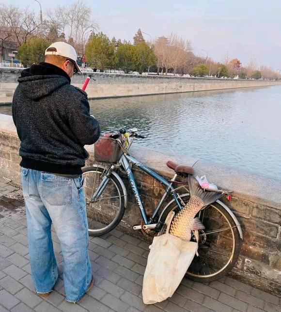 北京大爷在护城河钓上大草鱼，足足1米多长，怕惹事又给放了