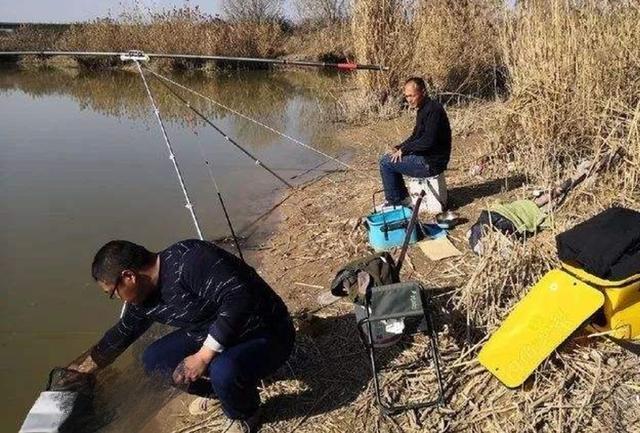 补窝后，始终无鱼吃饵？老司机道出真相，才知犯了大错