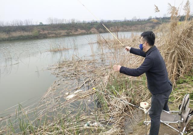 鱼钓狡猾了不咬钩和针对滑鱼的钓技