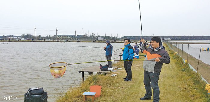 垂钓过程中，为什么容易出现空竿