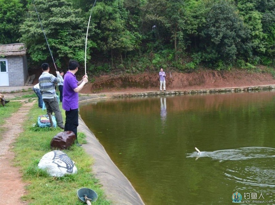 谈谈本人对鱼发窝不咬钩的应对方法