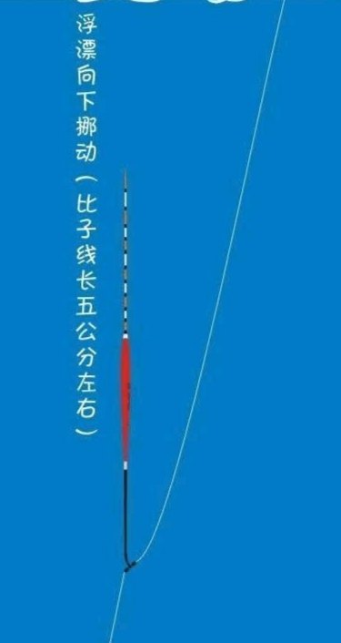 钓鱼浮漂调漂方法，钓鱼调漂方法