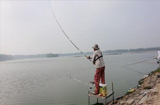 浅水怎么钓鱼，浅水钓鱼技巧