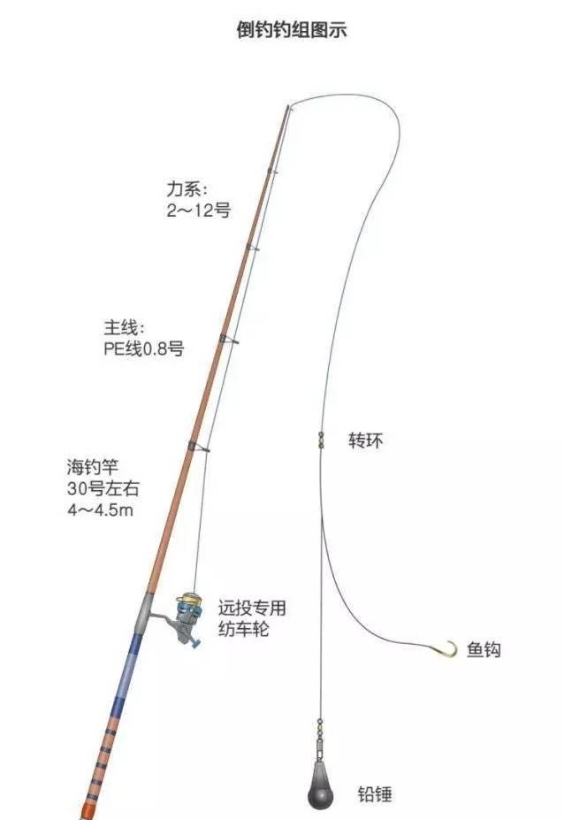 沉底钓鱼技巧，海钓沉底钓鱼技巧