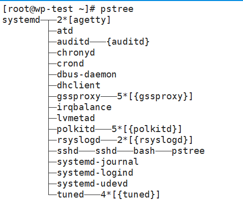 如何在Linux中查看所有正在运行的进程