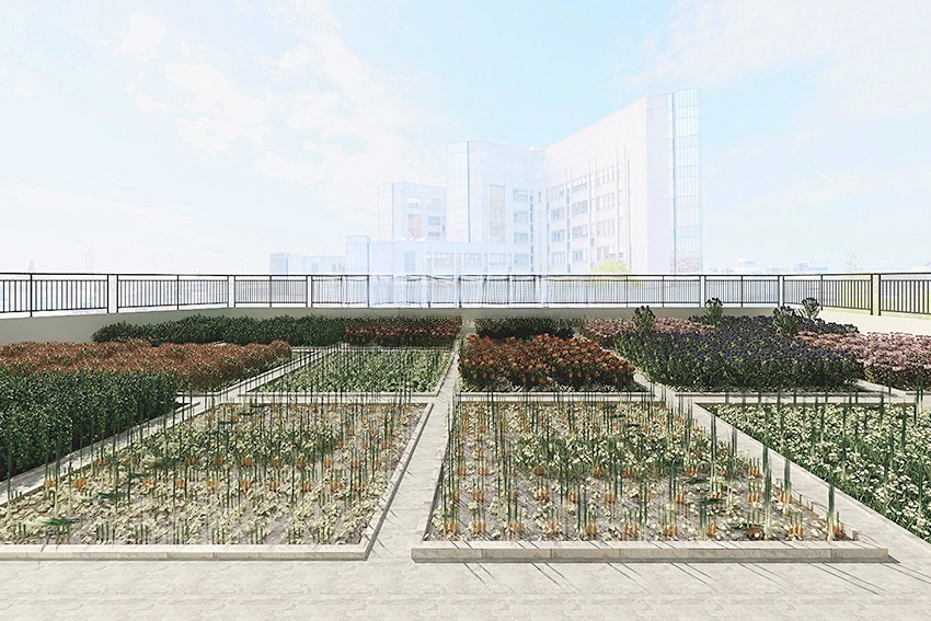 浦东绿州千岛500平现代风格学 校装修效果图